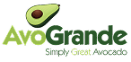 AvoGrande
